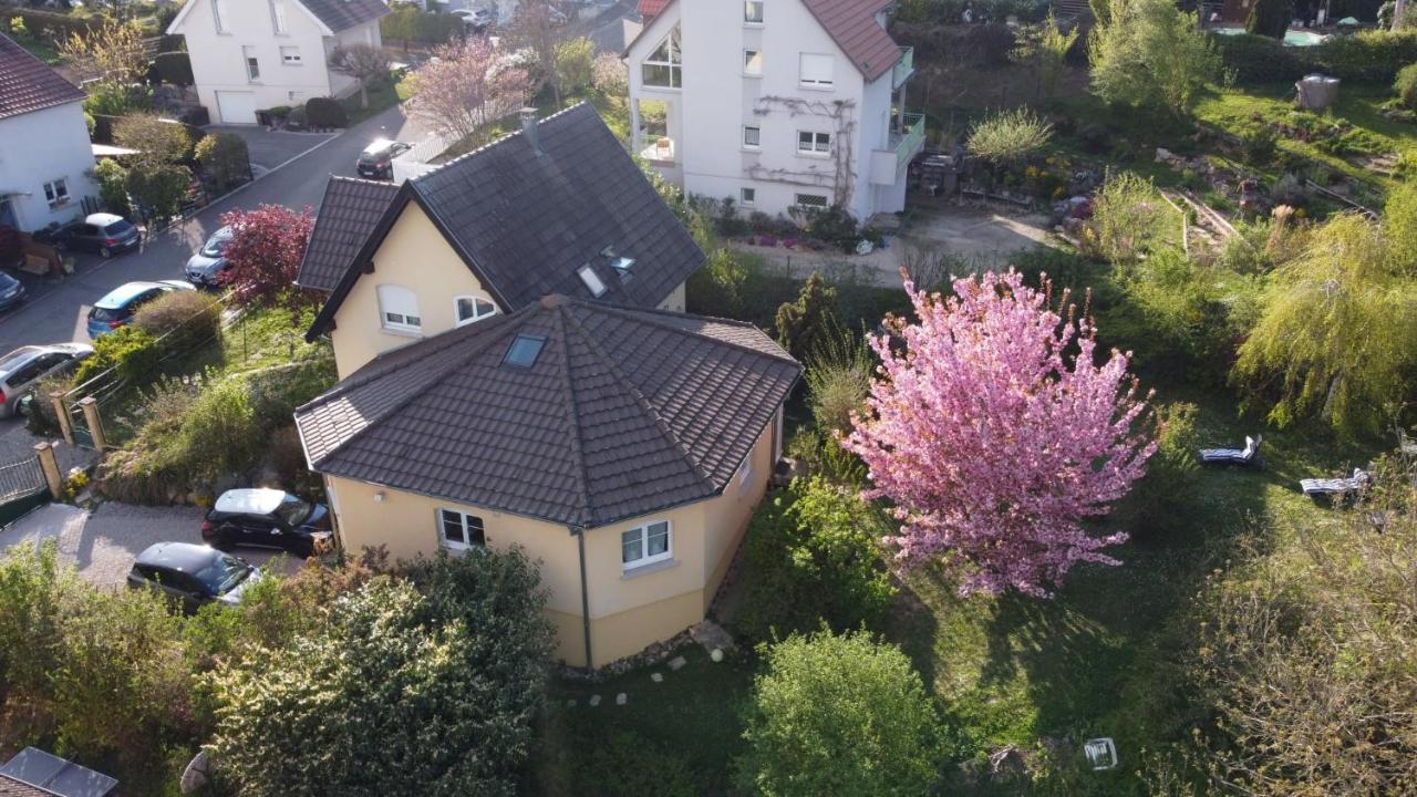 Chez Olivier Et Josette Sur Mulhouse Sud Apartment Illfurth Luaran gambar