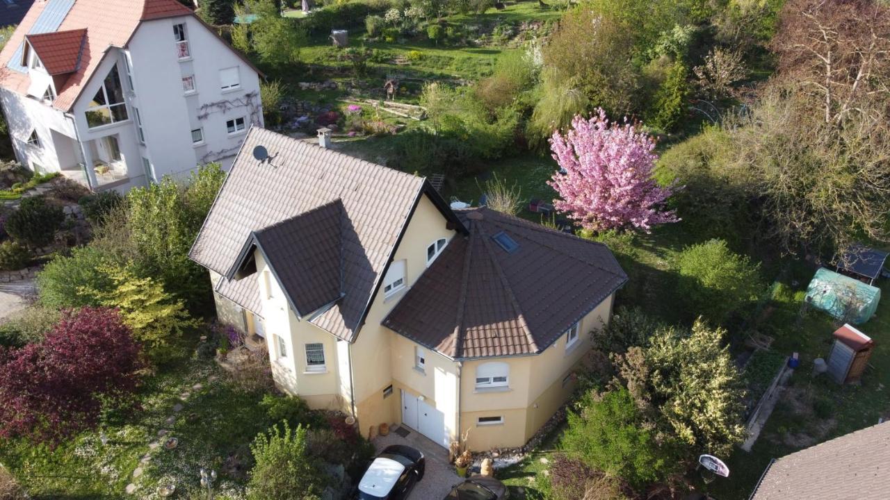 Chez Olivier Et Josette Sur Mulhouse Sud Apartment Illfurth Luaran gambar