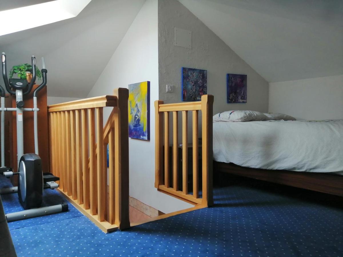 Chez Olivier Et Josette Sur Mulhouse Sud Apartment Illfurth Luaran gambar